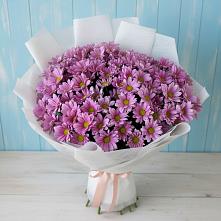 Букет цветов из:  Хризантемы #REPLACE_PRED# Илек