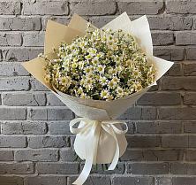Букет цветов из:  Ромашки #REPLACE_PRED# Илек