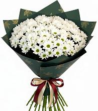 Букет цветов из:  Хризантемы #REPLACE_PRED# Илек