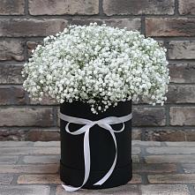 Цветочная композиция из Гипсофила в шляпной коробке в Илек