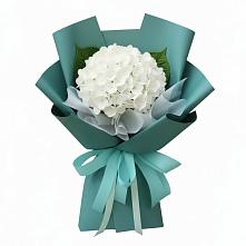 Букет цветов из:  Гортензия в Илек